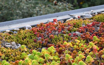 the cost of Haltoft End green roof installation